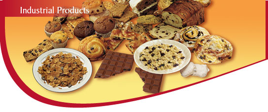 Industrial Products